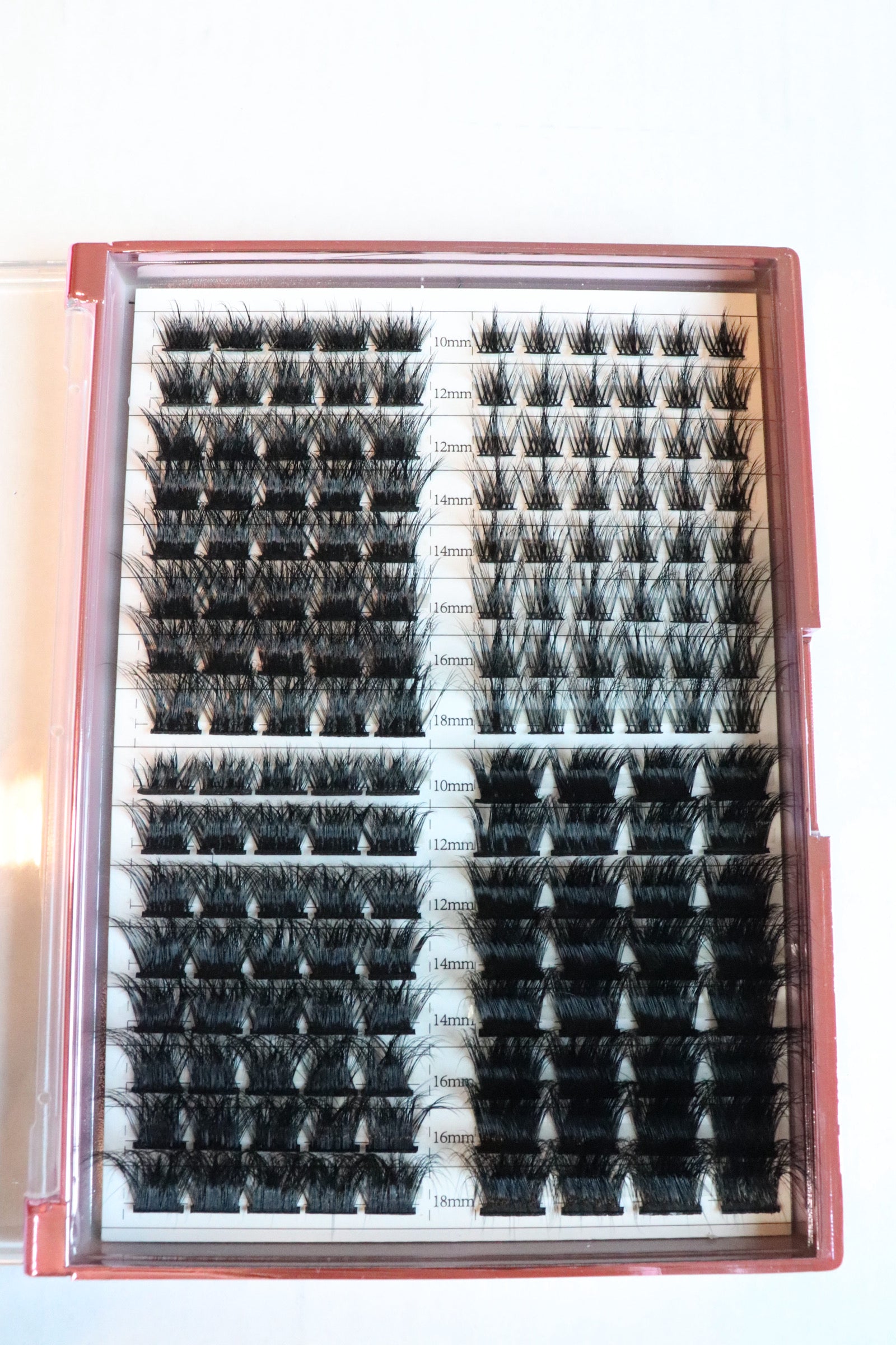 Lash Cluster Palette Nelly