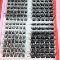 Lash Cluster Palette Alicia