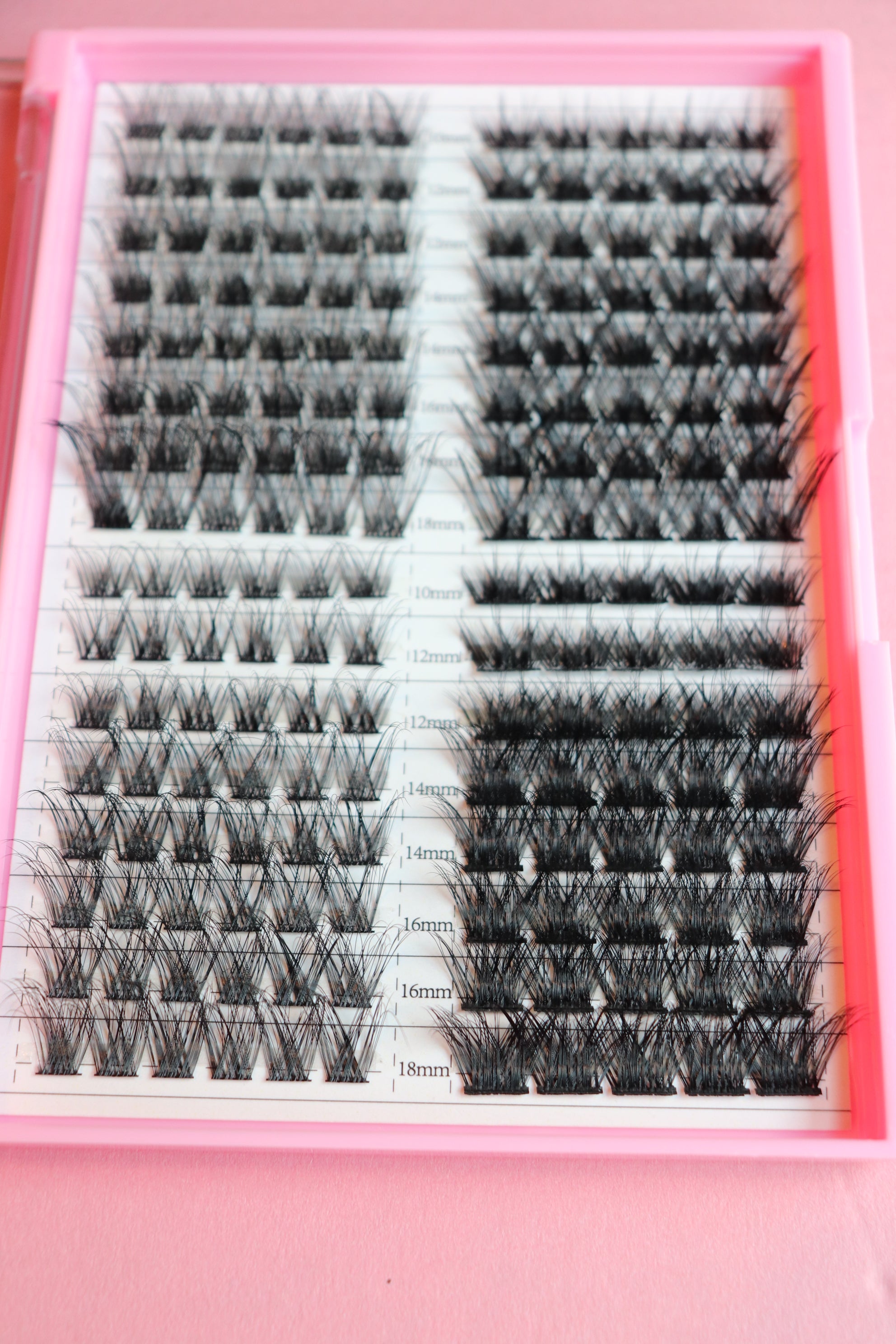 Lash Cluster Palette Alicia