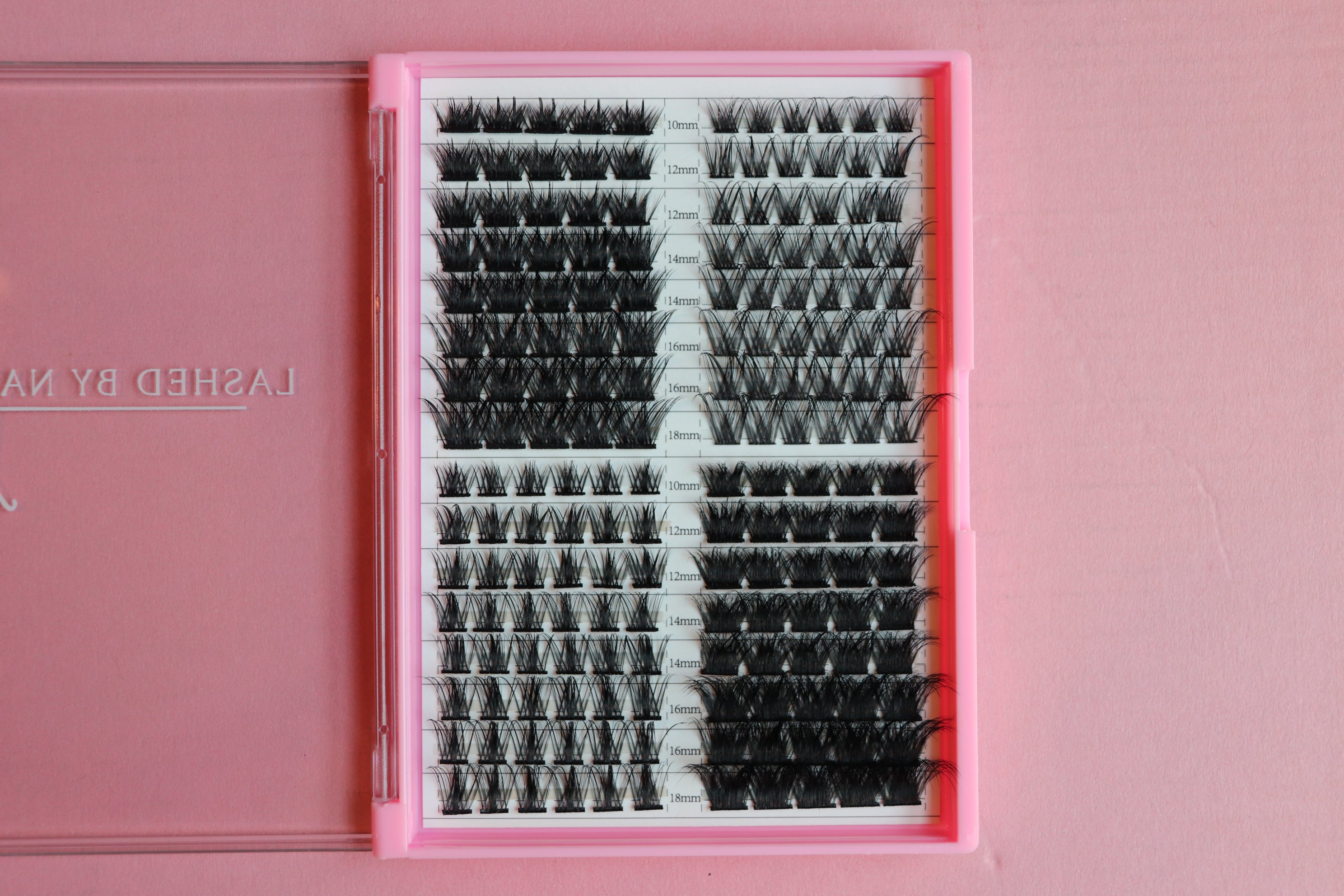 Lash Cluster Palette Nelly