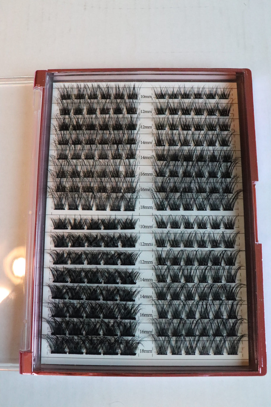 Lash Cluster Palette Alicia