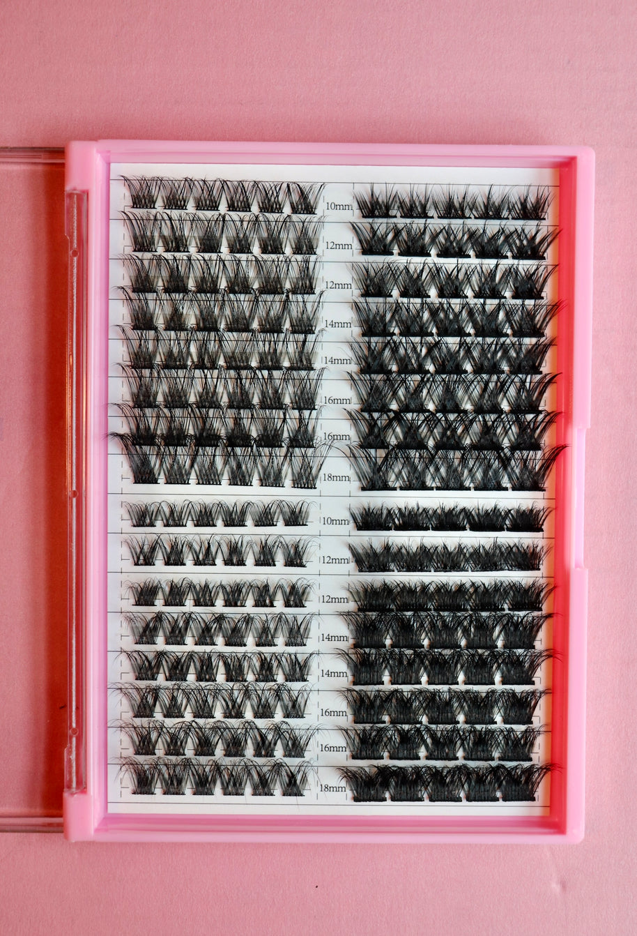 Lash Cluster Palette Alicia