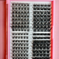 Lash Cluster Palette Alicia