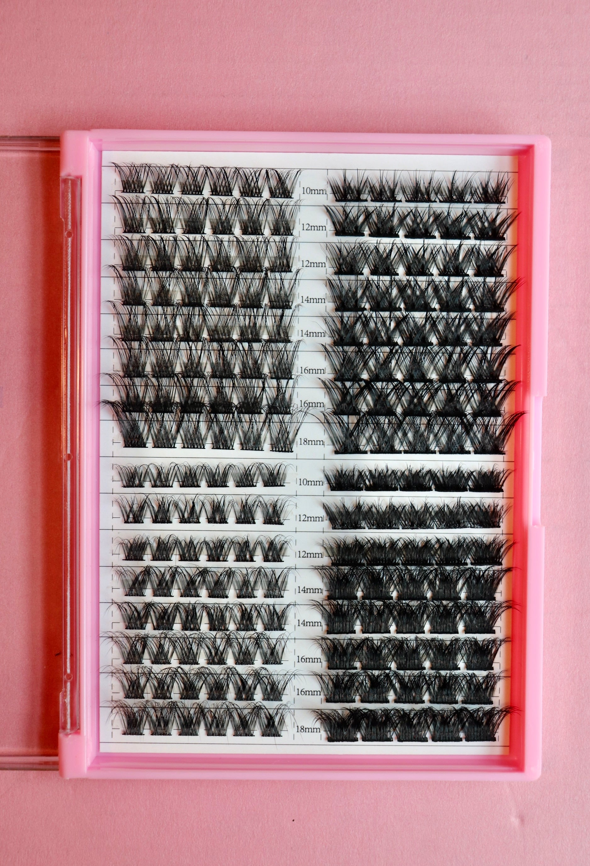 Lash Cluster Palette Alicia