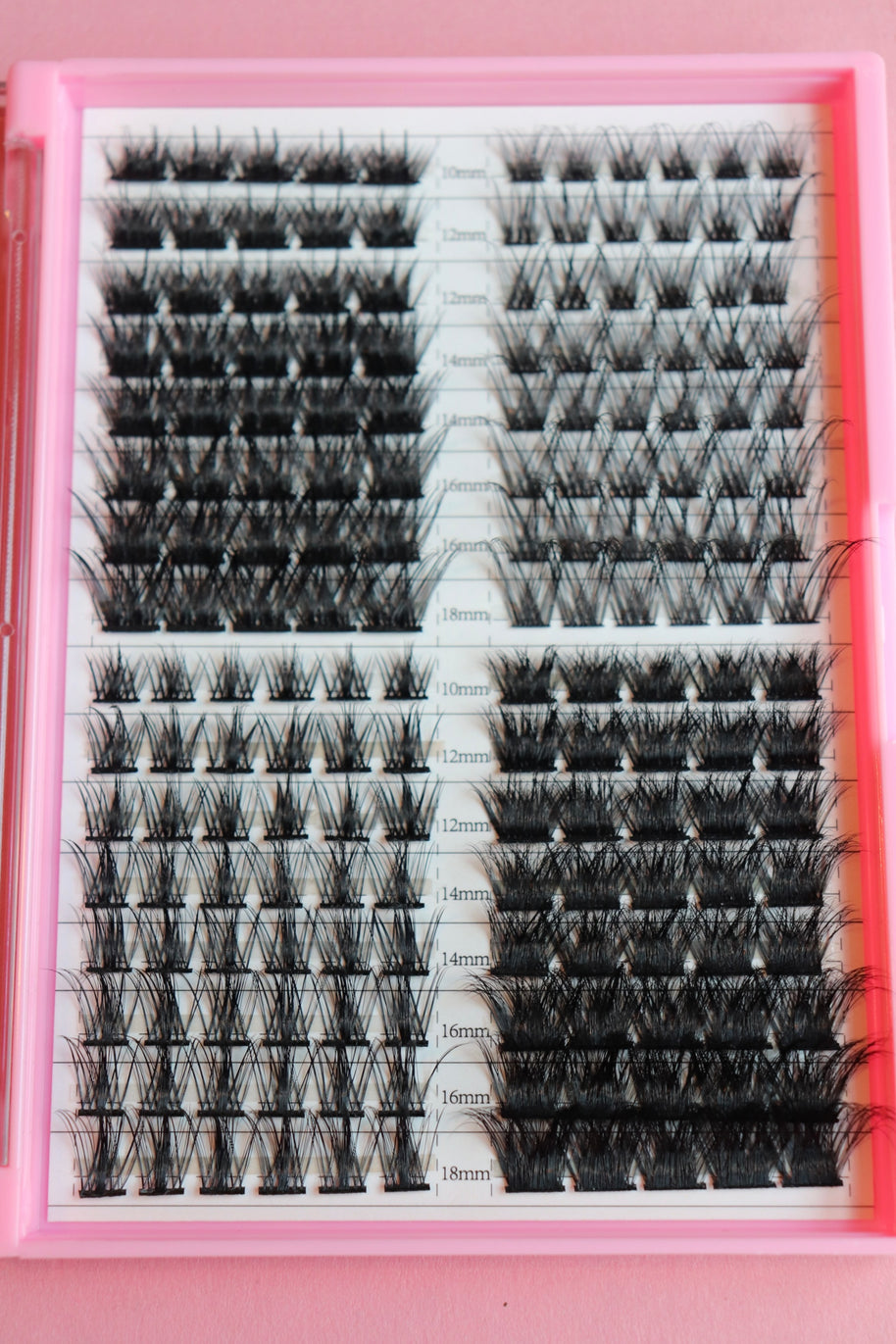 Lash Cluster Palette Nelly