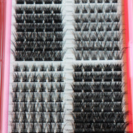 Lash Cluster Palette Nelly